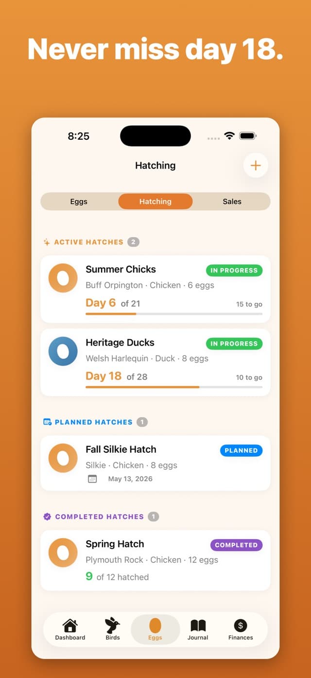 PoultryPal app screenshot 2